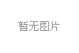 程力集團總經理程阿羅出席湖北民營企業100強發布會